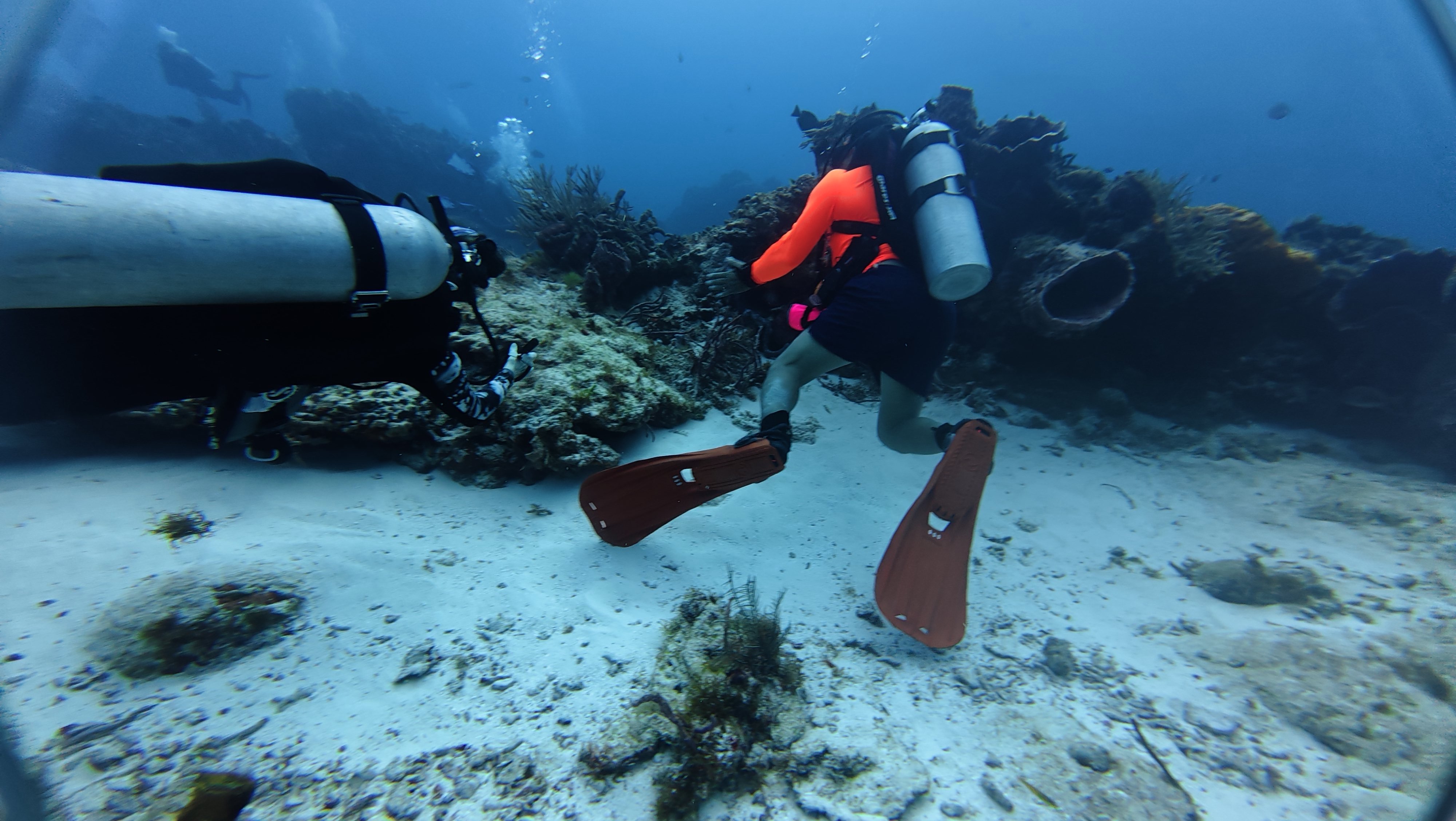 Scuba Divers exploring the Mesoamerican Barrier Reef